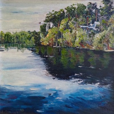 Swan Flight by Helen White
