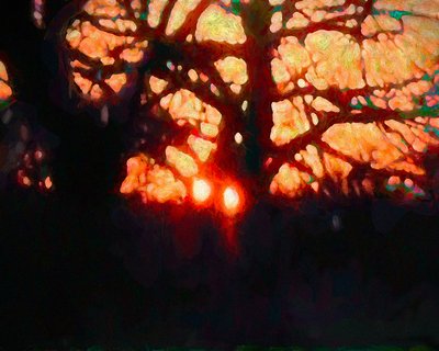 Winter Light by Helen White