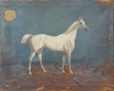 A White Horse by Hema A. Groy