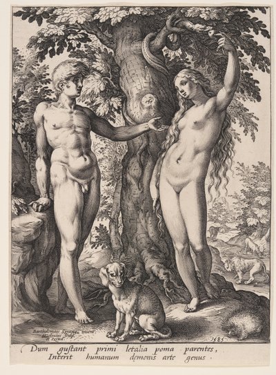 The Fall of Man by Hendrick Goltzius