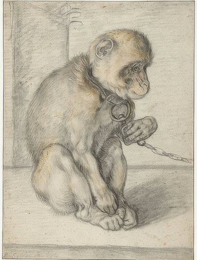 A Sitting Monkey on a Chain. 1592-1602 by Hendrik Goltzius
