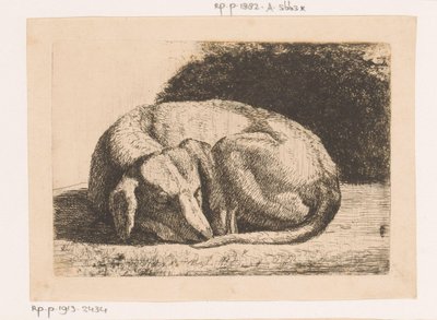 Sleeping Dog by Hendrik Jozef Franciscus van der Poorten