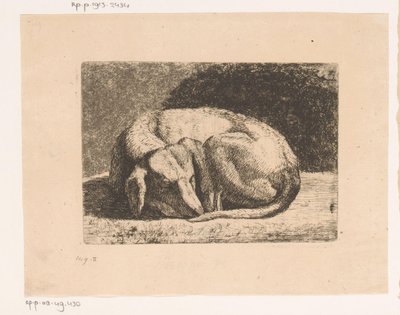 Sleeping Dog by Hendrik Jozef Franciscus van der Poorten