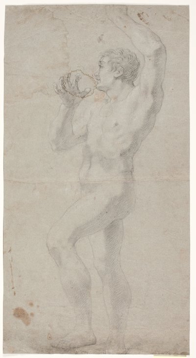 Male Model Study by Hendrik Krock