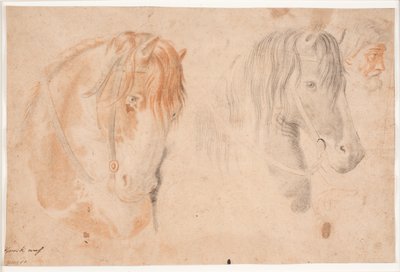 Two Horse Heads and a Man