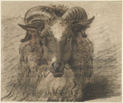 Head of a Ram by Hendrik Stokvisch