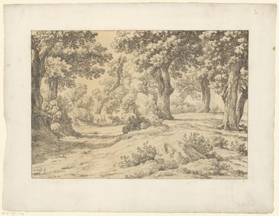 Forest Scene Tentamina Lithographica (series title) Italian Landscapes (series title) by Hendrik Voogd