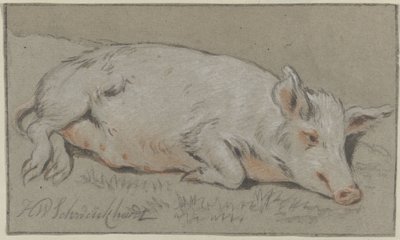 Lying Pig by Hendrik Willem Schweickhardt (signed by artist)