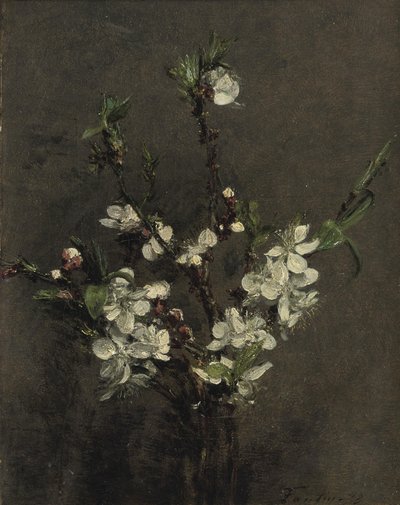 Fruit tree flowers by Ignace Henri Jean Fantin Latour