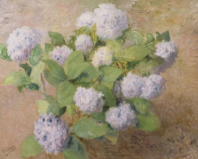 Blue Hydrangeas by Henri Lerolle