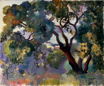Landscape in Saint-Tropez by Henri Manguin