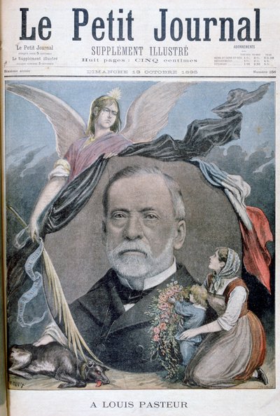 Louis Pasteur, French chemist, 1895 by Henri Meyer