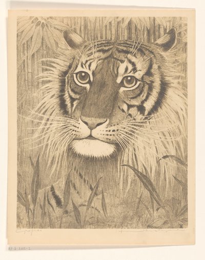 Head of a Tiger by Henri Verstijnen (signed by artist)
