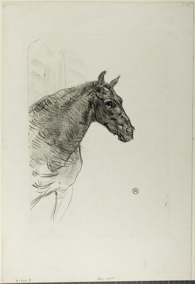 Philibert the Pony by Henri de Toulouse Lautrec