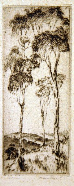 Gum Trees by Henri van Raalte