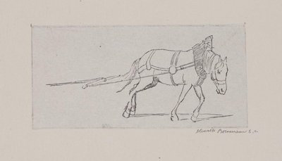 A Pulling Horse by Henrik Bornemann