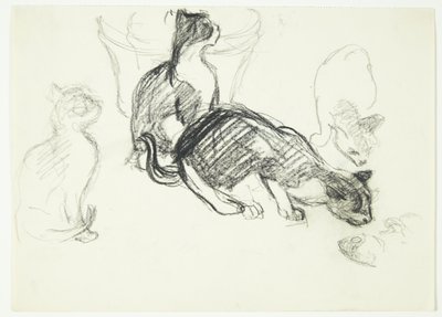 Study Sheet with Cats by Henrik Schouboe