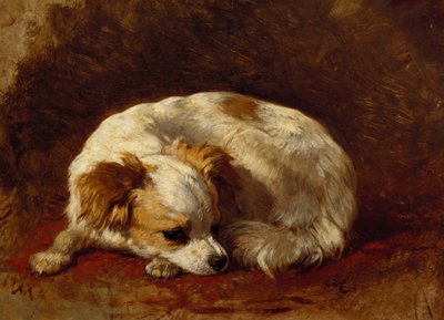 A Papillon by Henriëtte Ronner Knip