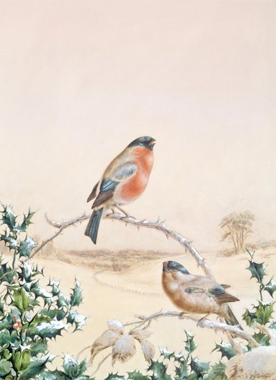 Winter scene with Chaffinch and Holly by Henry Bright