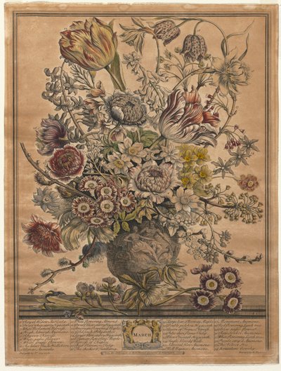 Twelve Months of Flowers: March by Henry Fletcher