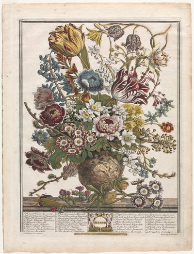 Twelve Months of Flowers: March by Henry Fletcher