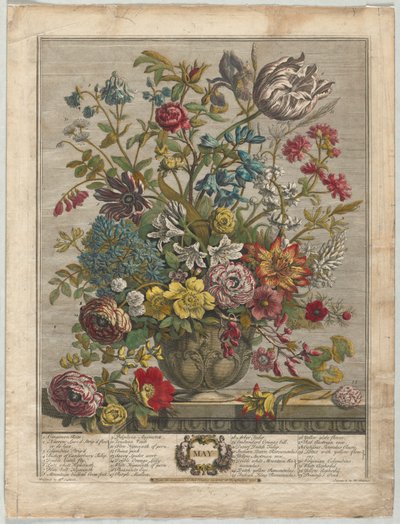 Twelve Months of Flowers: May by Henry Fletcher