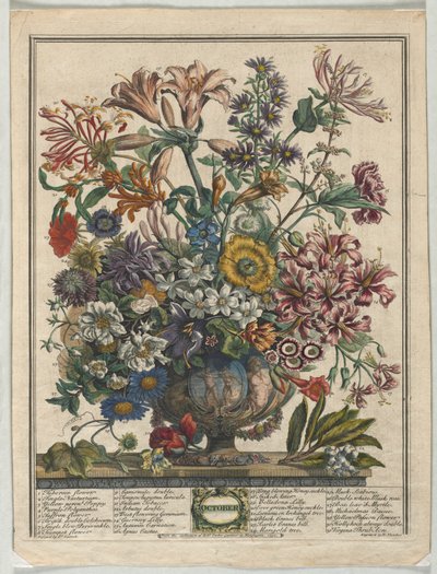 Twelve Months of Flowers: October by Henry Fletcher