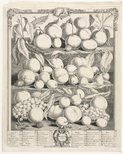 Twelve Months of Fruit: August by Henry Fletcher