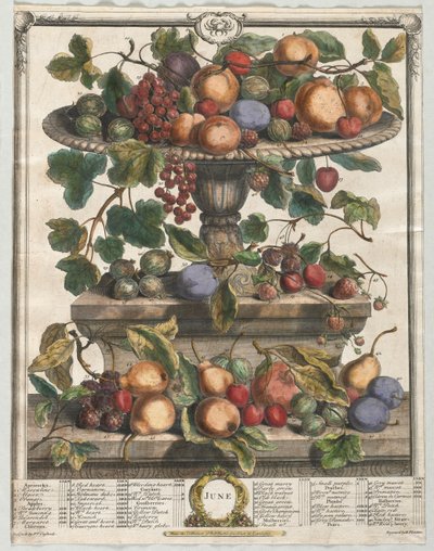 Twelve Months of Fruit: June by Henry Fletcher