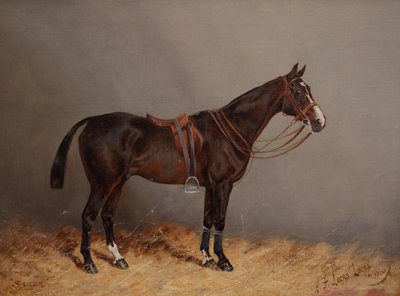 Sailor by Henry Frederick Lucas Lucas
