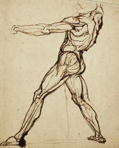 A Nude Throwing by Johann Heinrich Füssli