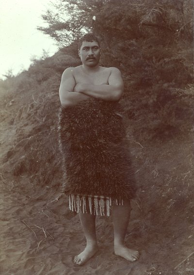 Maori Study, c.1910 by Henry Gaze