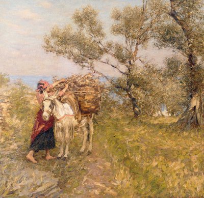 Ligurian Olives by Henry Herbert La Thangue