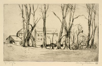 Hospital-like building seen between large trees by Henry Nielsen