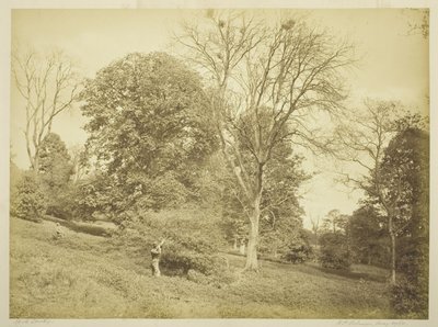 Rook Shooting by Henry Peach Robinson