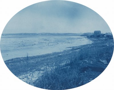 Levee at Rapids City, Illinois by Henry Peter Bosse