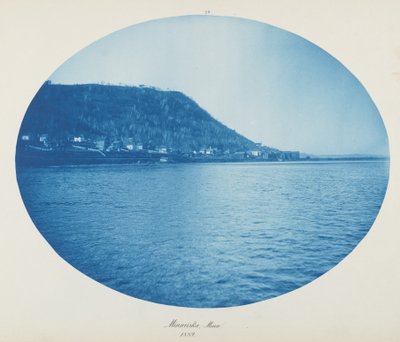 Minneiska, Minn. by Henry Peter Bosse