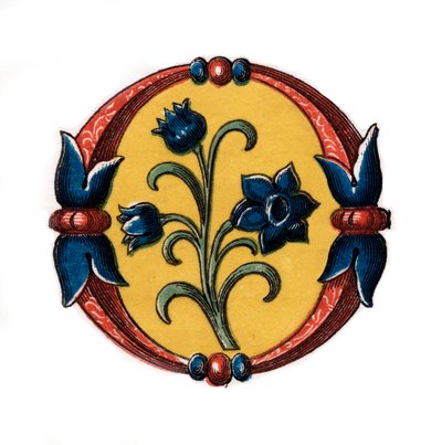 Initial Letter O by Henry Shaw