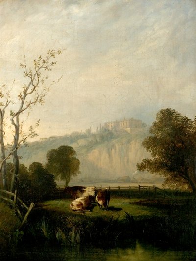 Nottingham Meadows by Henry Smyth