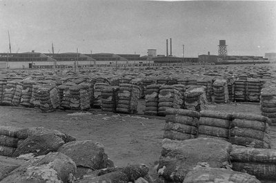 Moody Compress, Galveston by Henry Stark