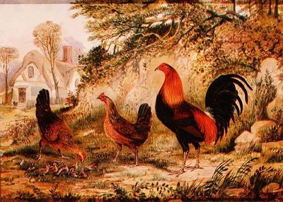 Cockerel, Hens and Chicks by Henry Thomas Alken