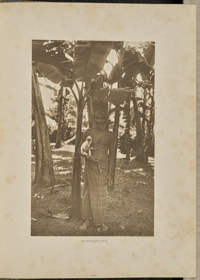 Companions by Henry W. Cave