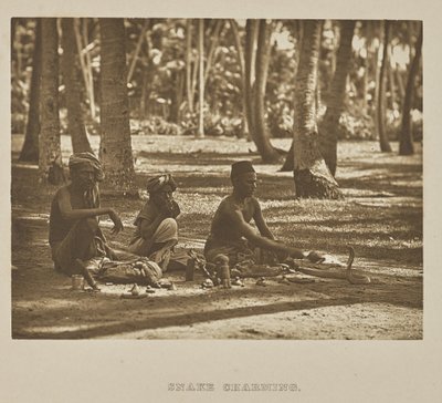 Snake Charming by Henry W. Cave