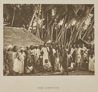 The Auction by Henry W. Cave