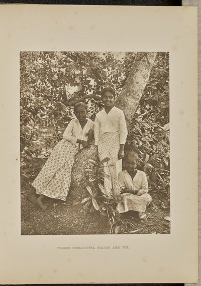 Three Moratowa Maids Are We by Henry W. Cave