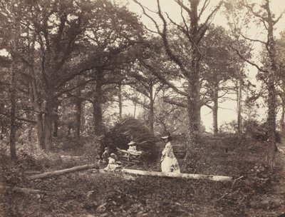 Landscape by Henry White