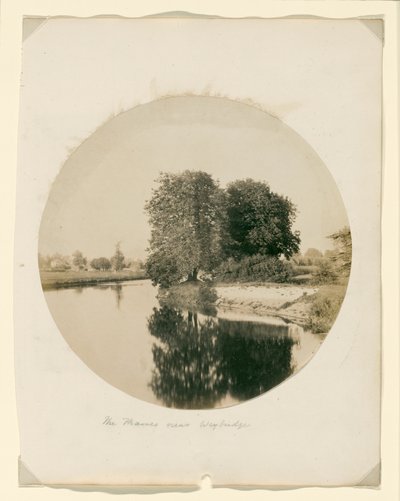 Untitled by Henry White