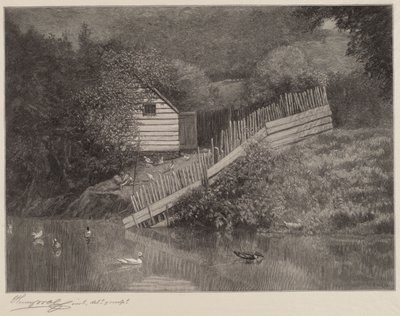 A Duck Pond by Henry Wolf