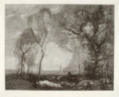 Landscape by Henry Wolf