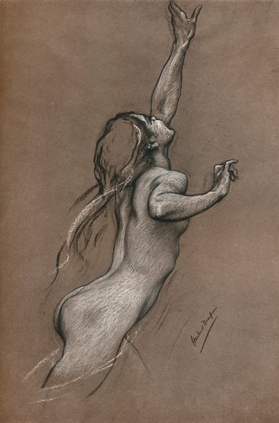 Flying Fish Study by Herbert James Draper